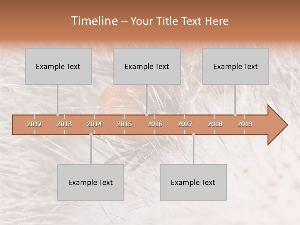 Hair Disease Carrier Brown PowerPoint Template