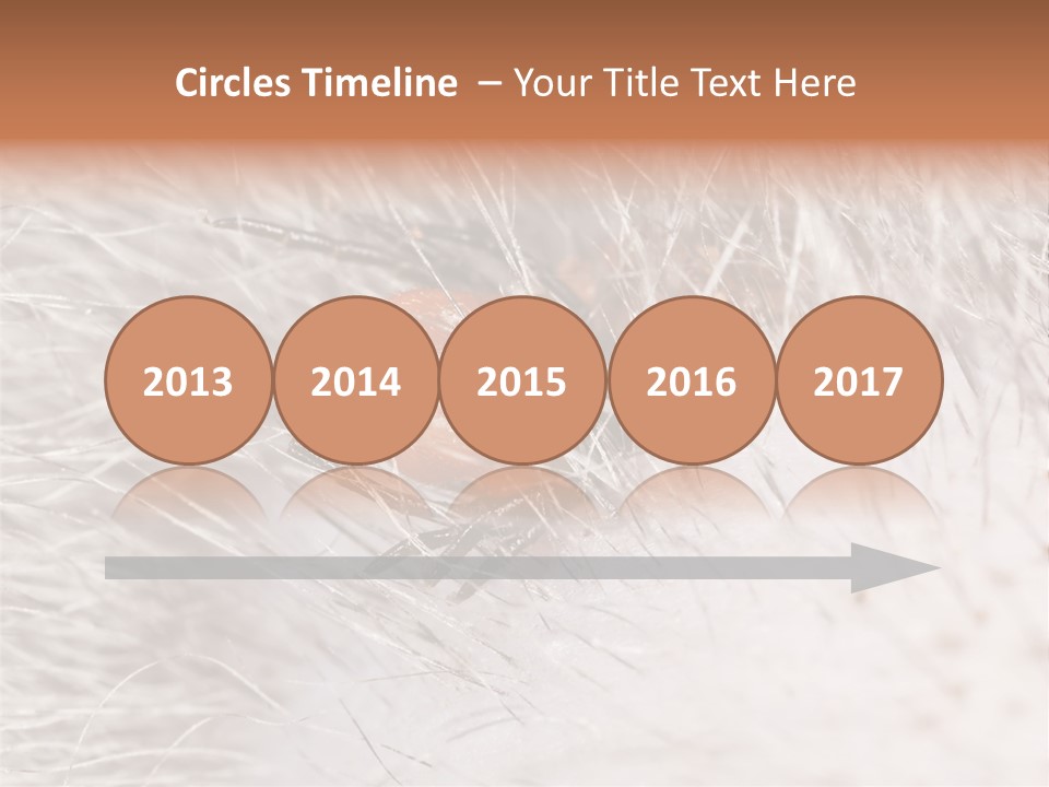 Hair Disease Carrier Brown PowerPoint Template