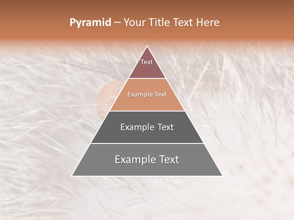 Hair Disease Carrier Brown PowerPoint Template