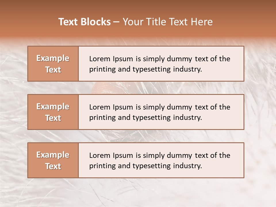 Hair Disease Carrier Brown PowerPoint Template