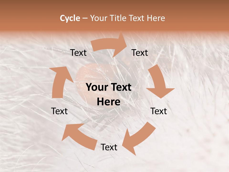 Hair Disease Carrier Brown PowerPoint Template