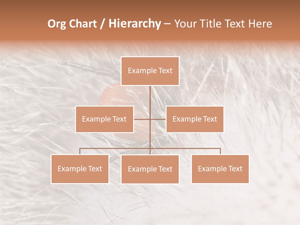 Hair Disease Carrier Brown PowerPoint Template