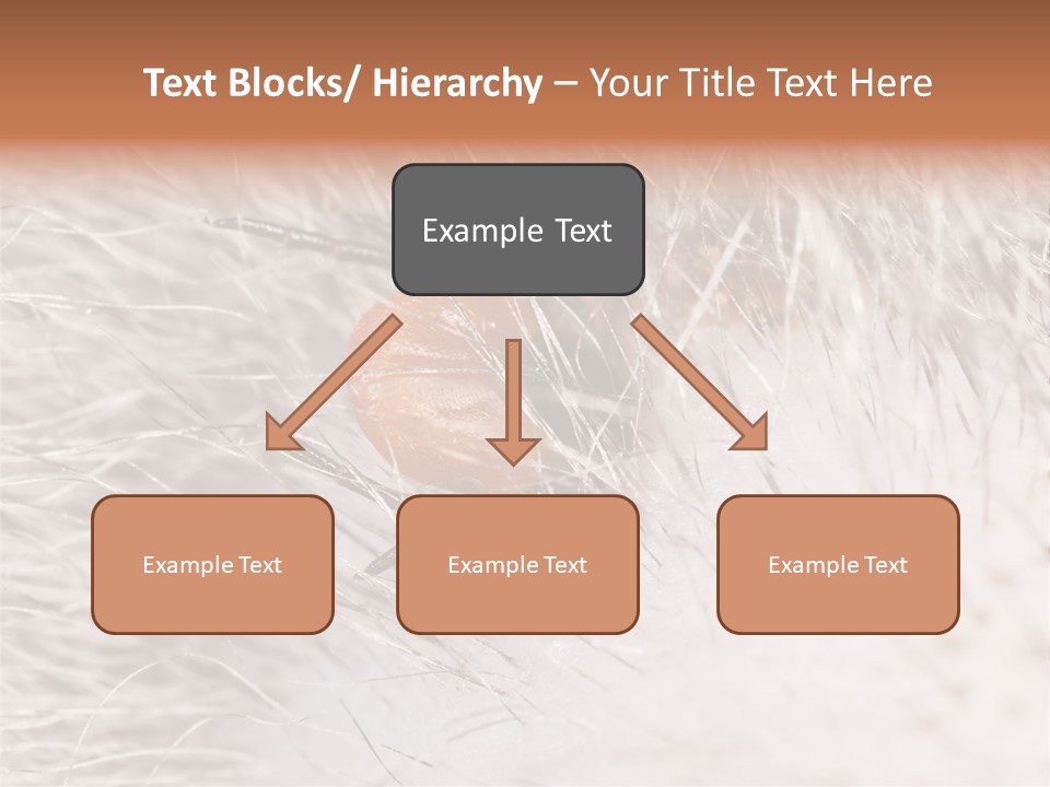 Hair Disease Carrier Brown PowerPoint Template