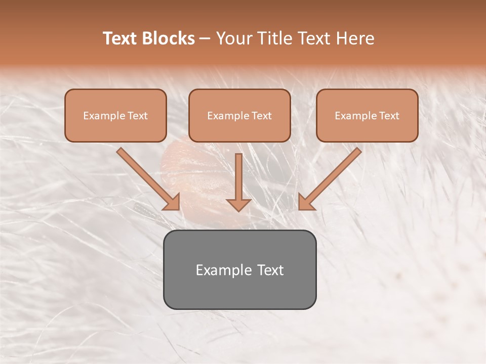 Hair Disease Carrier Brown PowerPoint Template