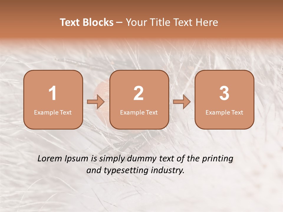 Hair Disease Carrier Brown PowerPoint Template
