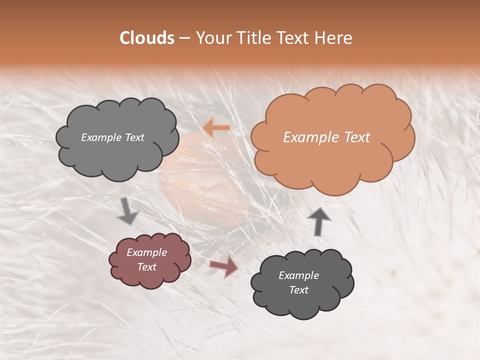 Hair Disease Carrier Brown PowerPoint Template