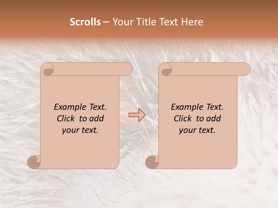 Hair Disease Carrier Brown PowerPoint Template