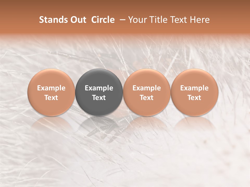 Hair Disease Carrier Brown PowerPoint Template