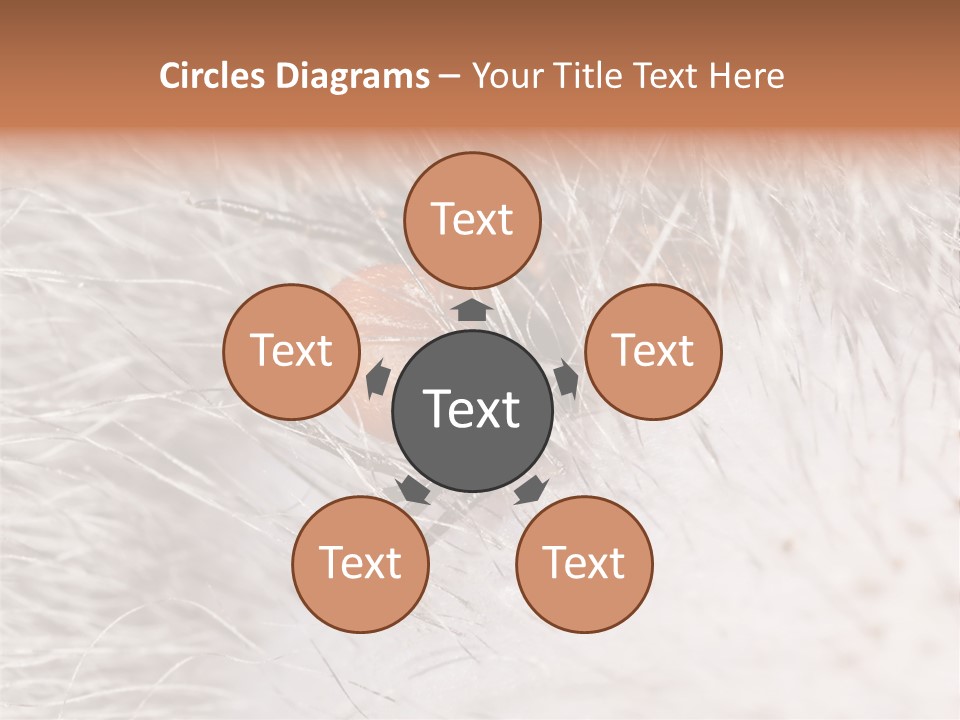 Hair Disease Carrier Brown PowerPoint Template