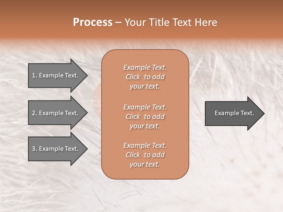 Hair Disease Carrier Brown PowerPoint Template