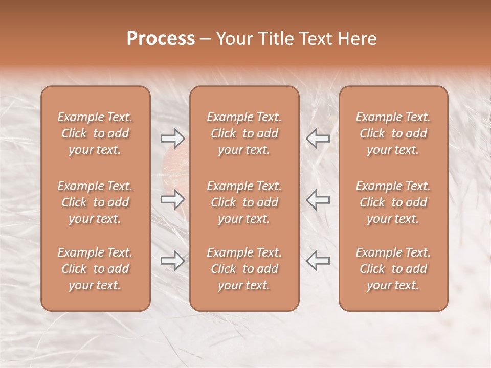 Hair Disease Carrier Brown PowerPoint Template