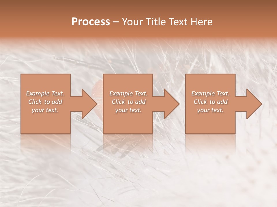 Hair Disease Carrier Brown PowerPoint Template