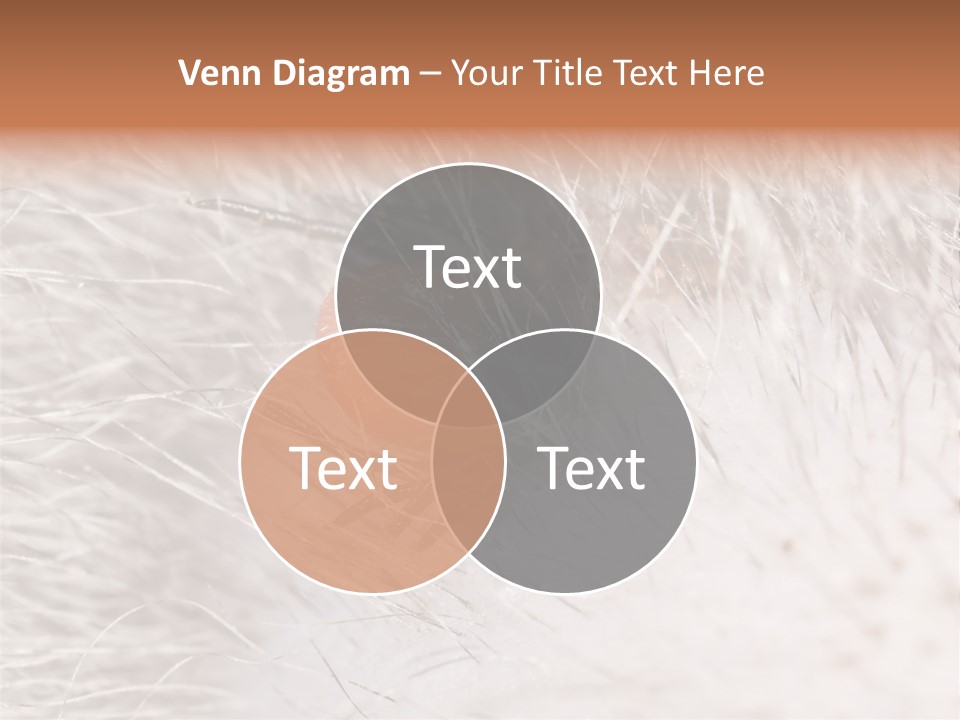 Hair Disease Carrier Brown PowerPoint Template