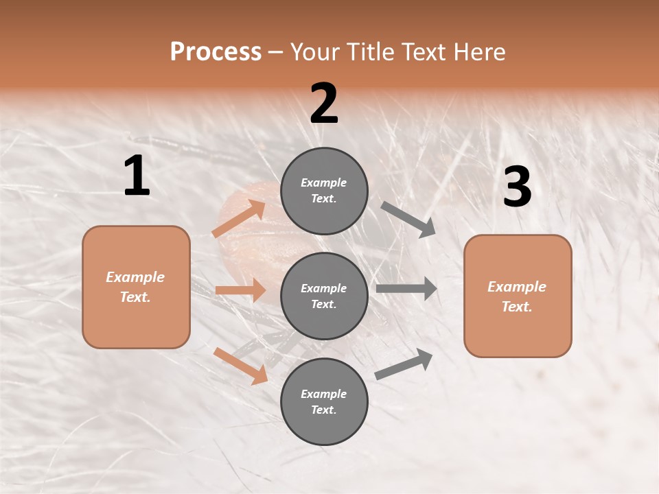 Hair Disease Carrier Brown PowerPoint Template
