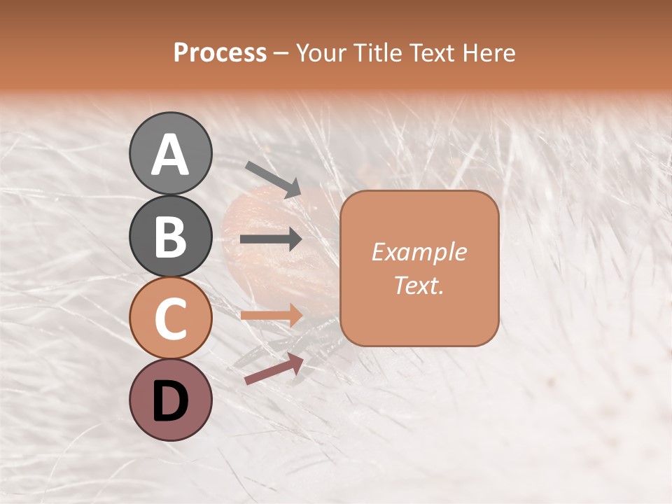 Hair Disease Carrier Brown PowerPoint Template