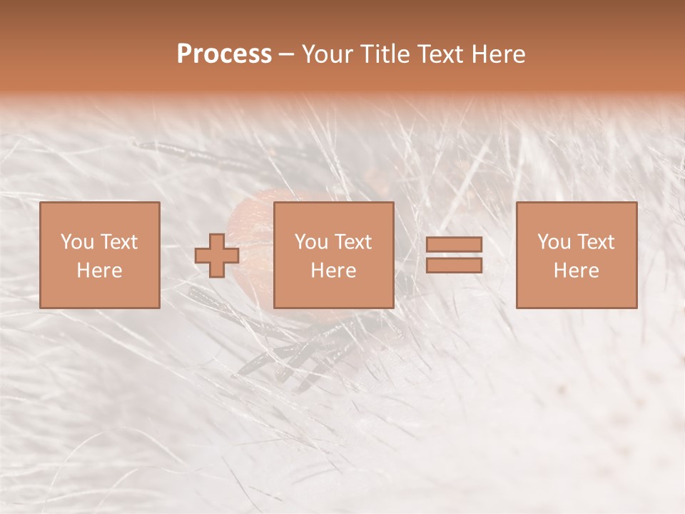 Hair Disease Carrier Brown PowerPoint Template