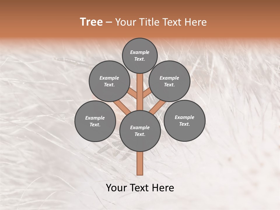 Hair Disease Carrier Brown PowerPoint Template