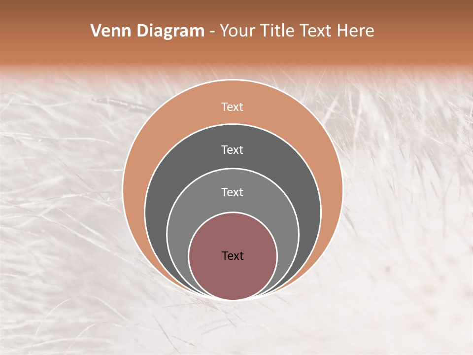 Hair Disease Carrier Brown PowerPoint Template