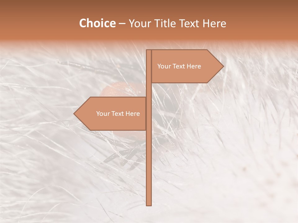 Hair Disease Carrier Brown PowerPoint Template