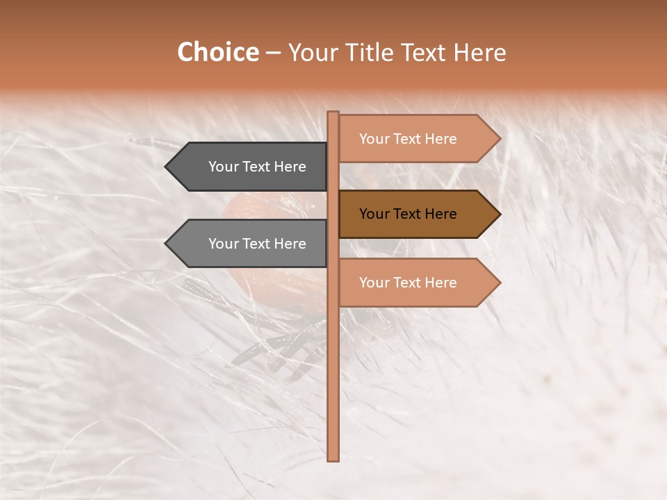 Hair Disease Carrier Brown PowerPoint Template