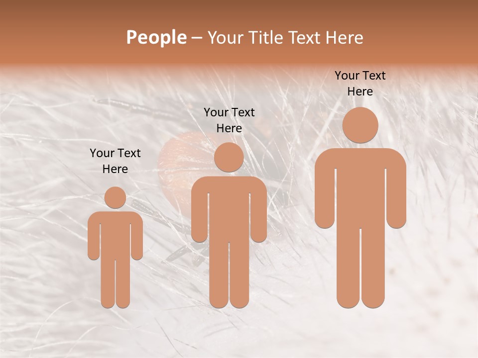 Hair Disease Carrier Brown PowerPoint Template