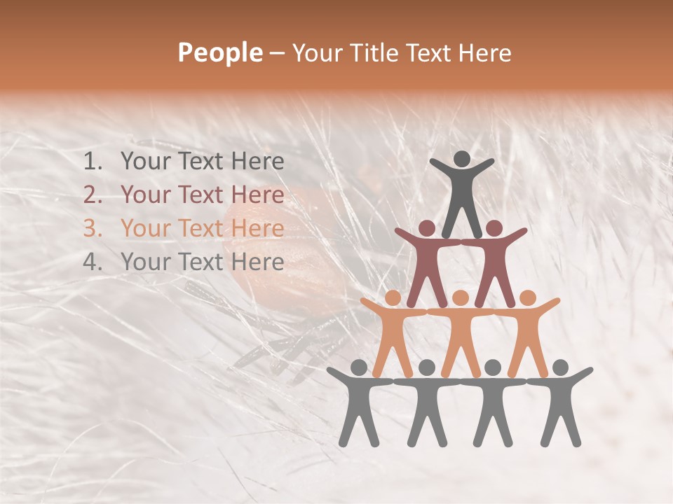 Hair Disease Carrier Brown PowerPoint Template