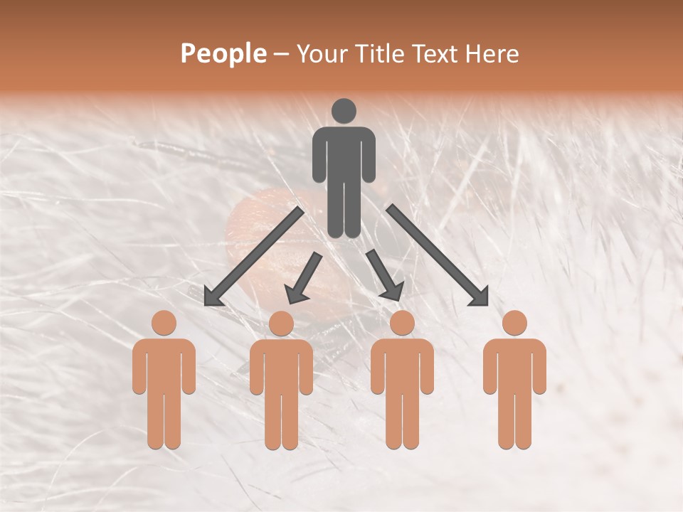 Hair Disease Carrier Brown PowerPoint Template