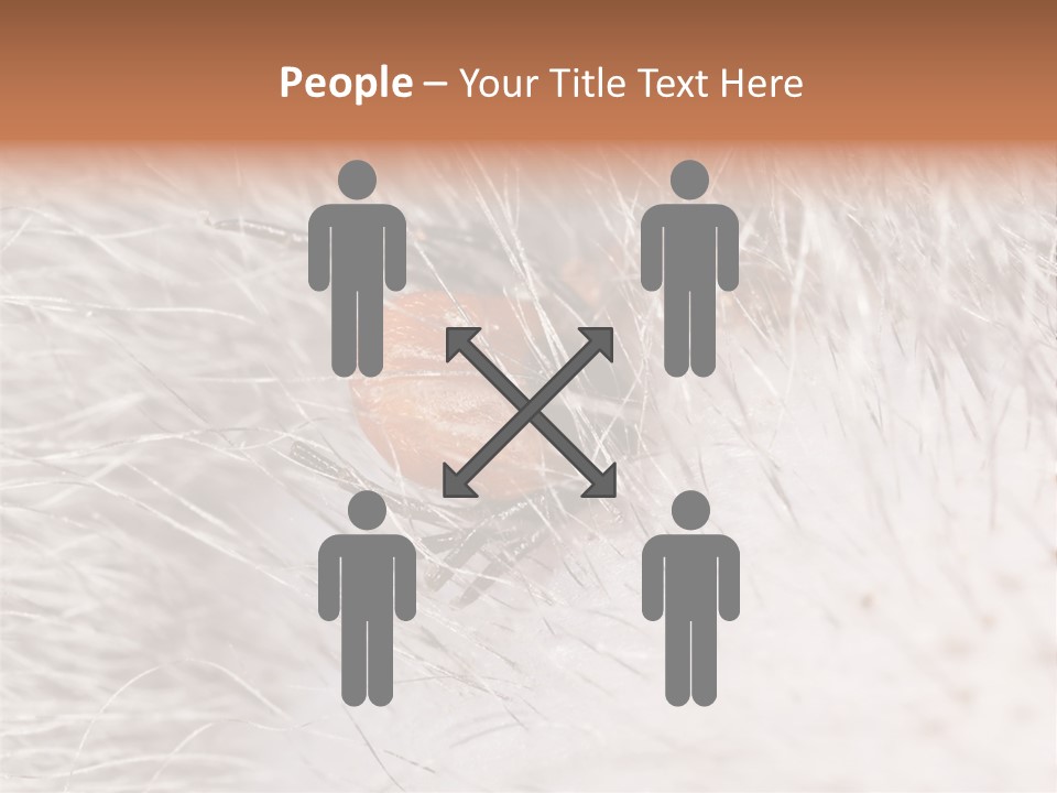 Hair Disease Carrier Brown PowerPoint Template