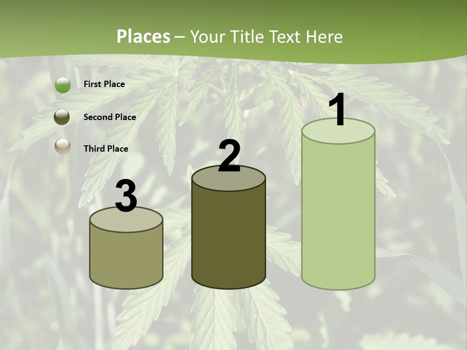 Backgrounds Leaf Marijuana PowerPoint Template