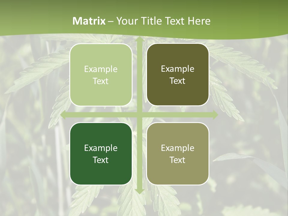 Backgrounds Leaf Marijuana PowerPoint Template