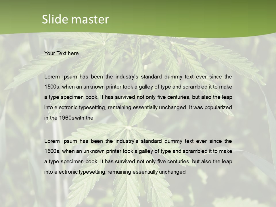 Backgrounds Leaf Marijuana PowerPoint Template