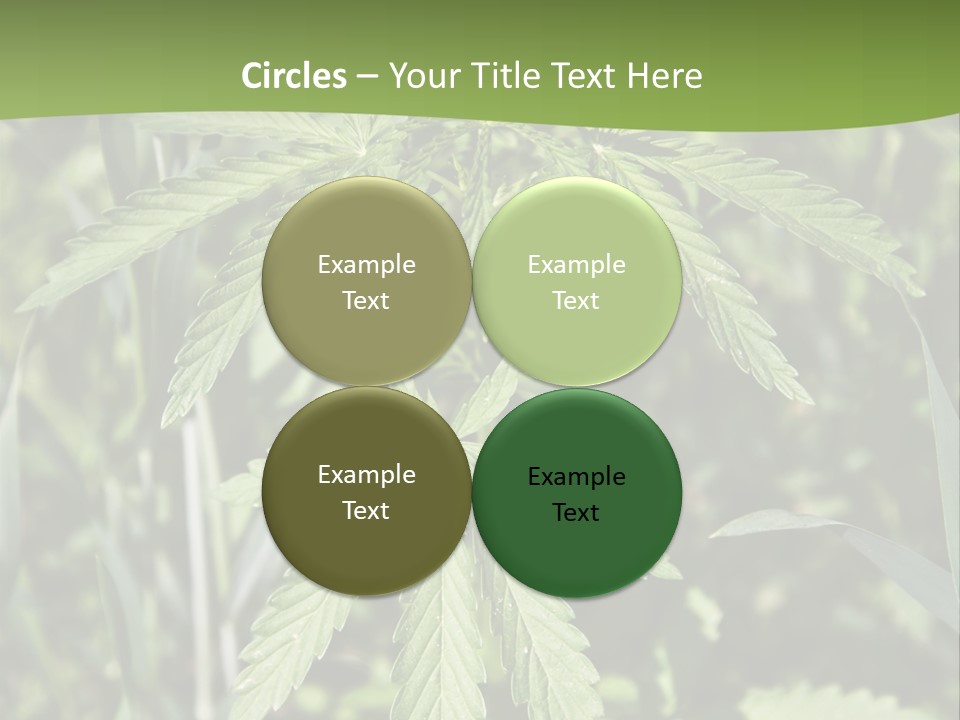 Backgrounds Leaf Marijuana PowerPoint Template