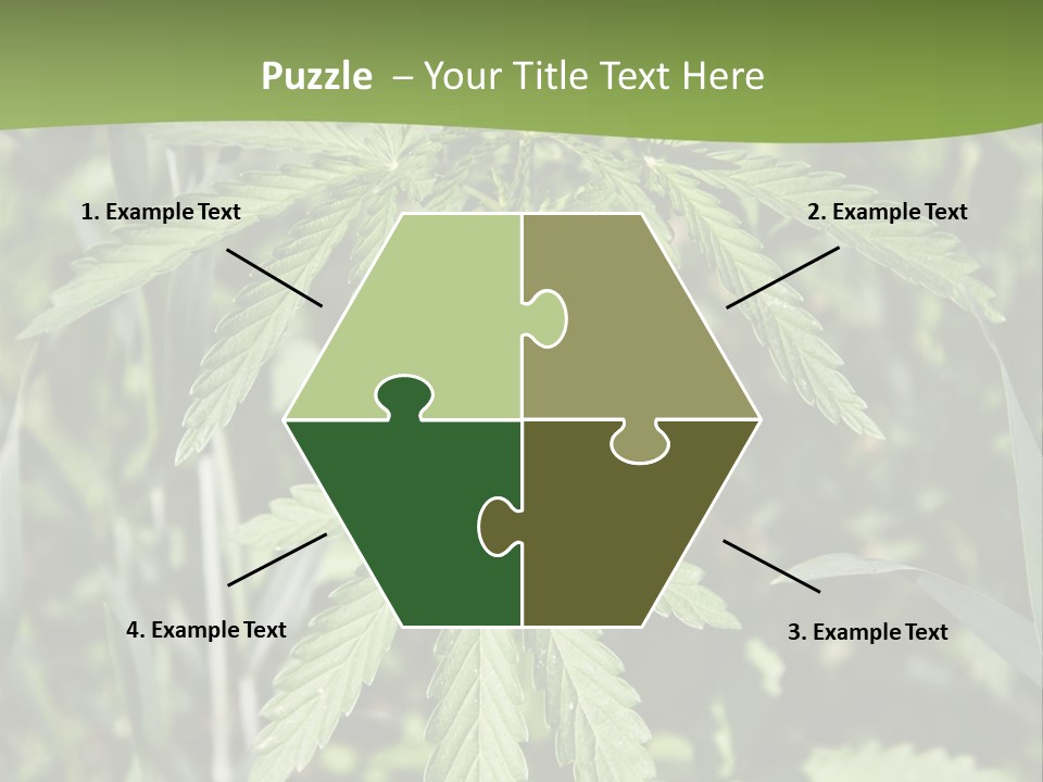 Backgrounds Leaf Marijuana PowerPoint Template