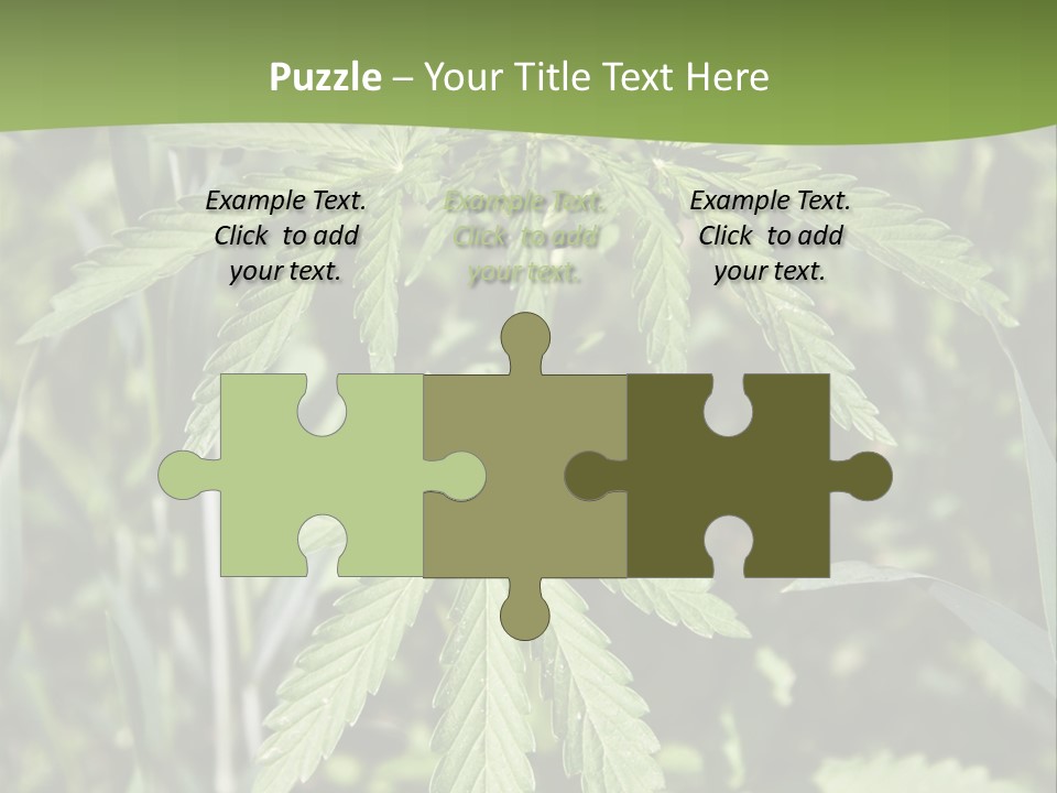 Backgrounds Leaf Marijuana PowerPoint Template