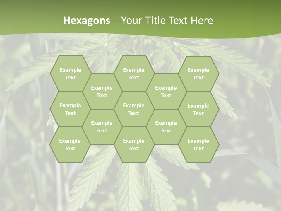 Backgrounds Leaf Marijuana PowerPoint Template