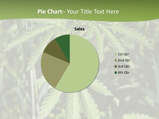 Backgrounds Leaf Marijuana PowerPoint Template