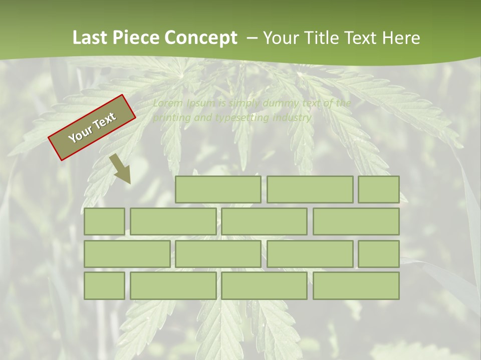 Backgrounds Leaf Marijuana PowerPoint Template