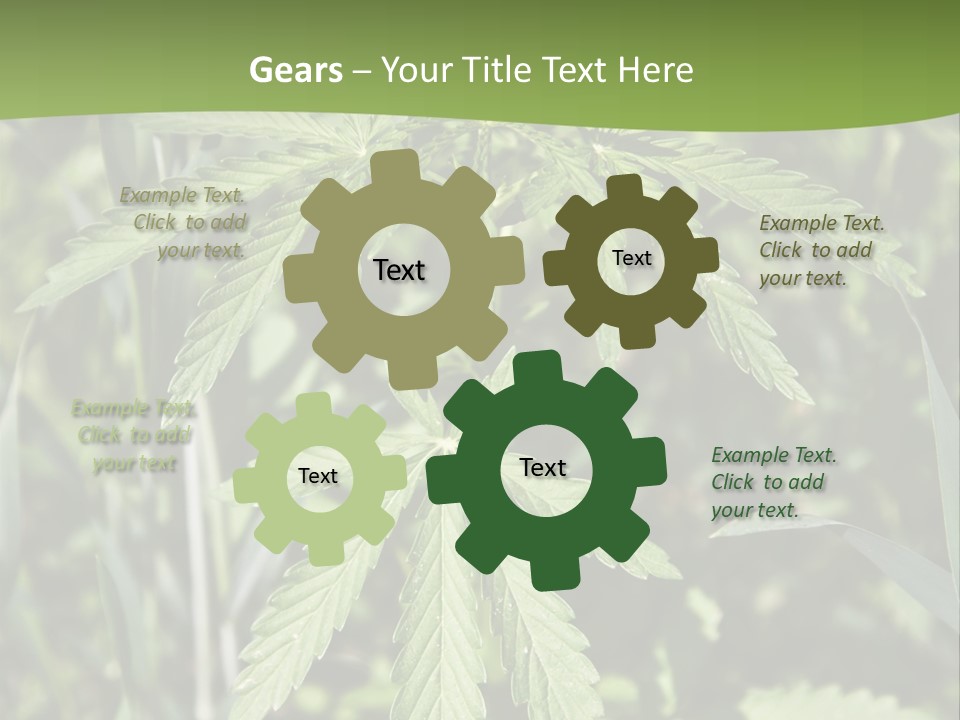 Backgrounds Leaf Marijuana PowerPoint Template