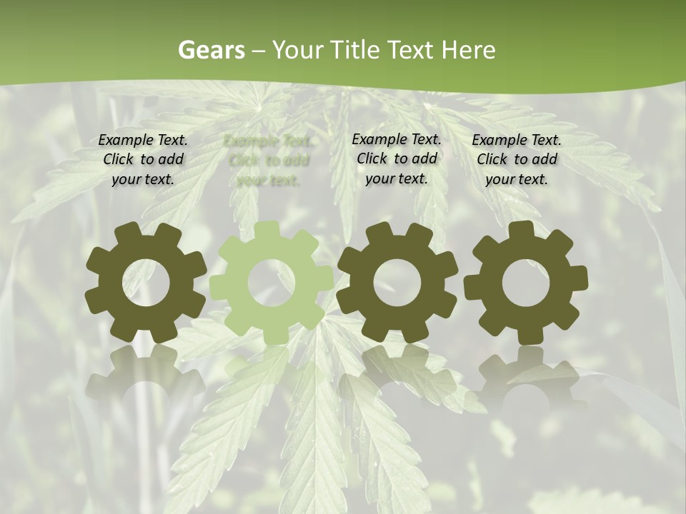 Backgrounds Leaf Marijuana PowerPoint Template