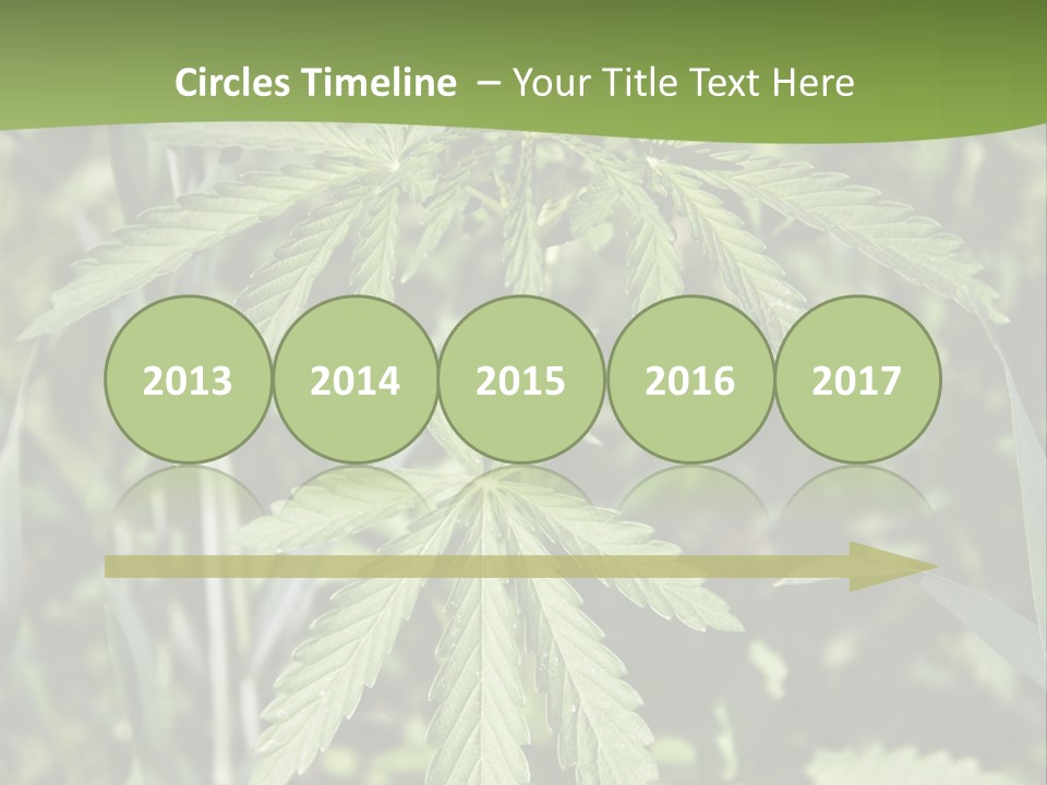 Backgrounds Leaf Marijuana PowerPoint Template