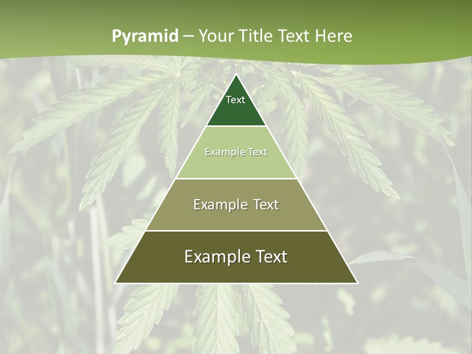 Backgrounds Leaf Marijuana PowerPoint Template