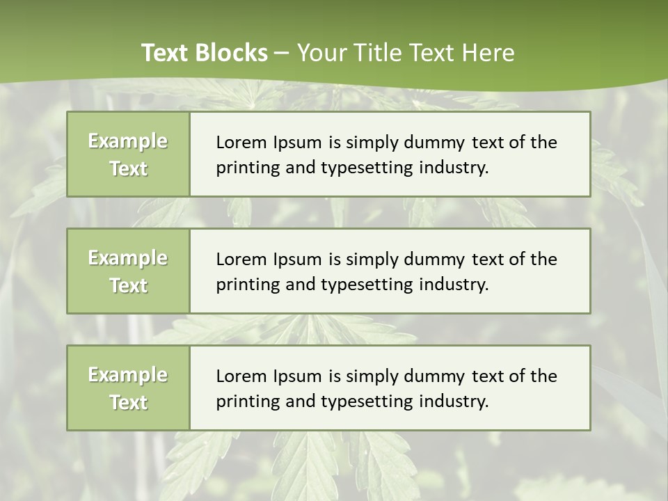 Backgrounds Leaf Marijuana PowerPoint Template