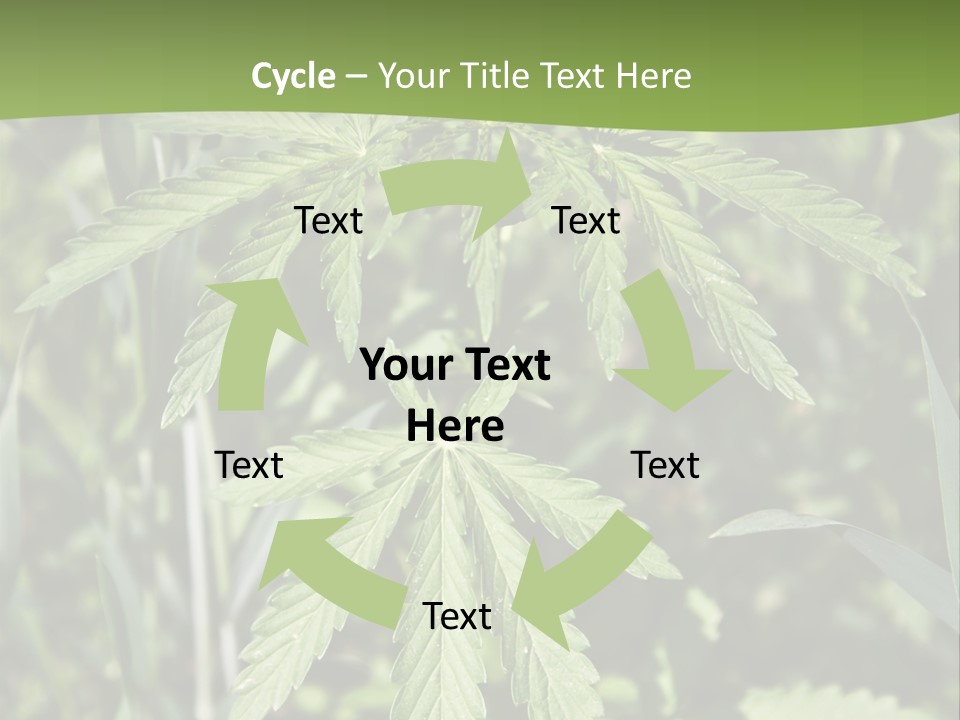 Backgrounds Leaf Marijuana PowerPoint Template