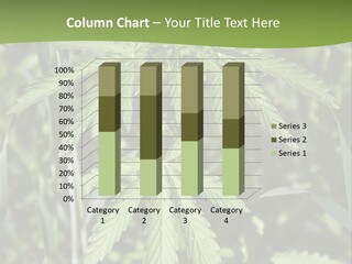 Backgrounds Leaf Marijuana PowerPoint Template