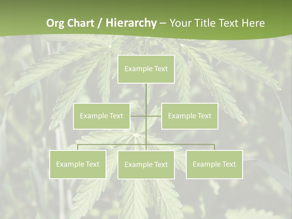 Backgrounds Leaf Marijuana PowerPoint Template