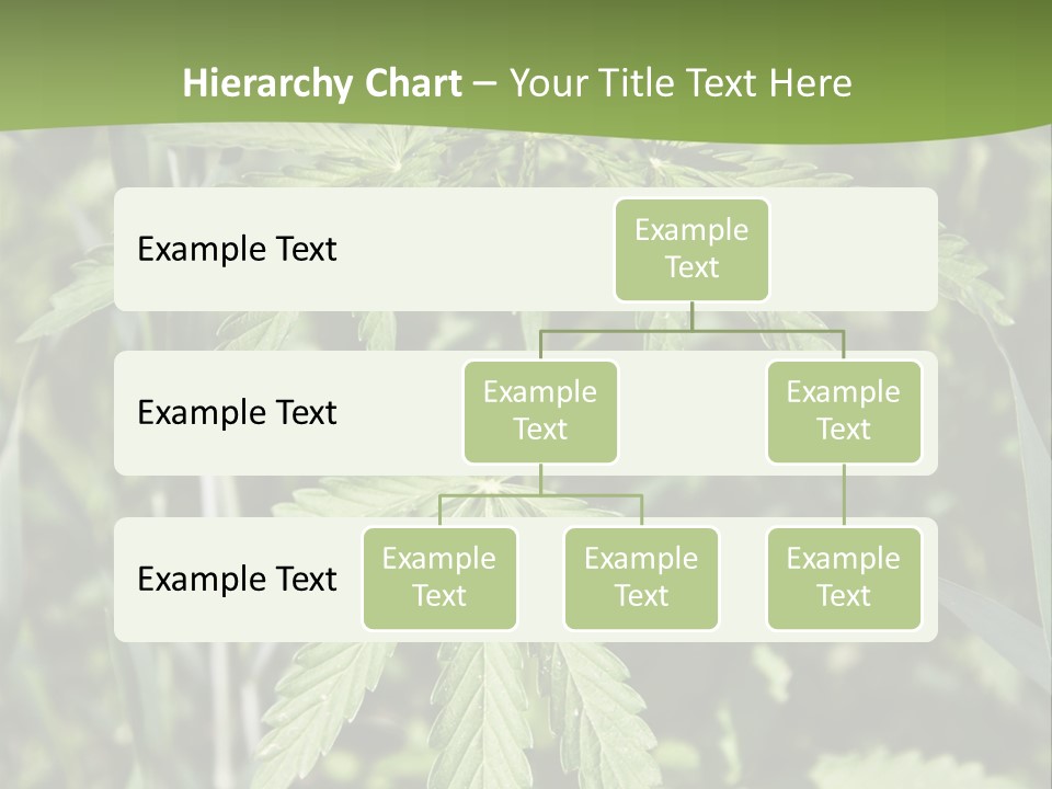 Backgrounds Leaf Marijuana PowerPoint Template