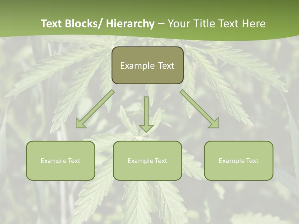 Backgrounds Leaf Marijuana PowerPoint Template