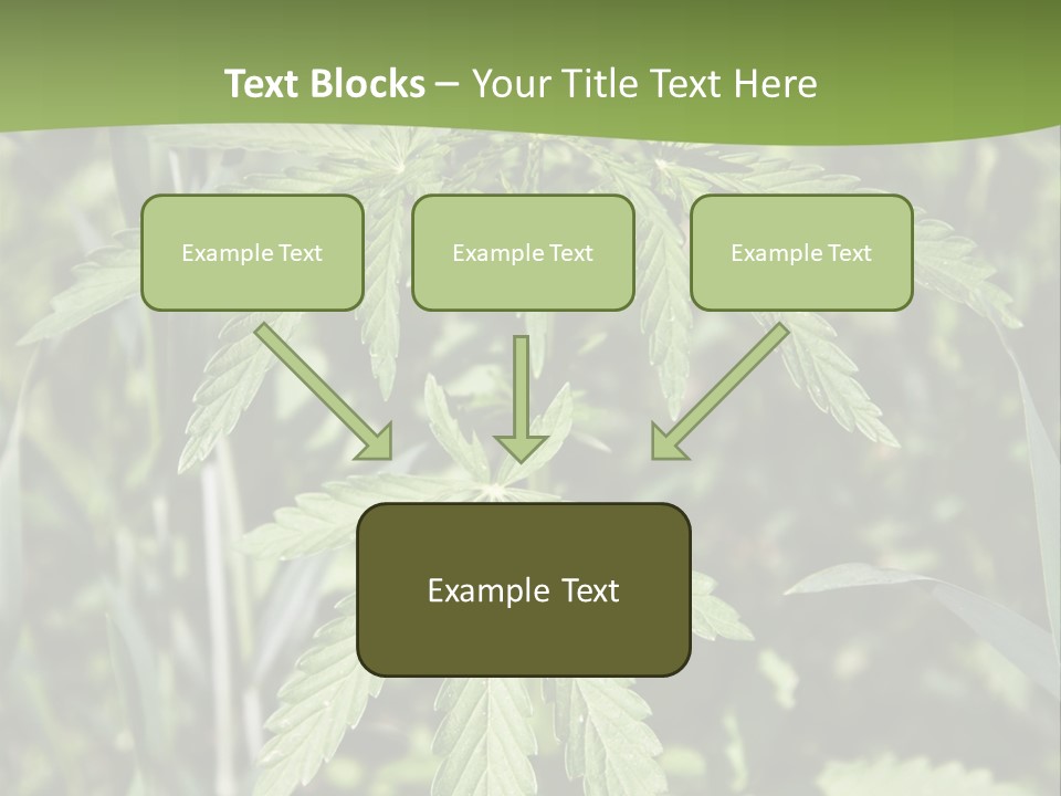 Backgrounds Leaf Marijuana PowerPoint Template