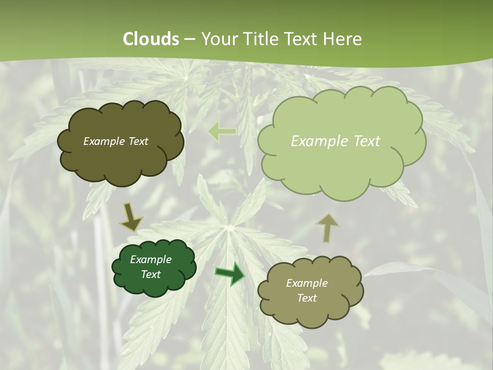 Backgrounds Leaf Marijuana PowerPoint Template