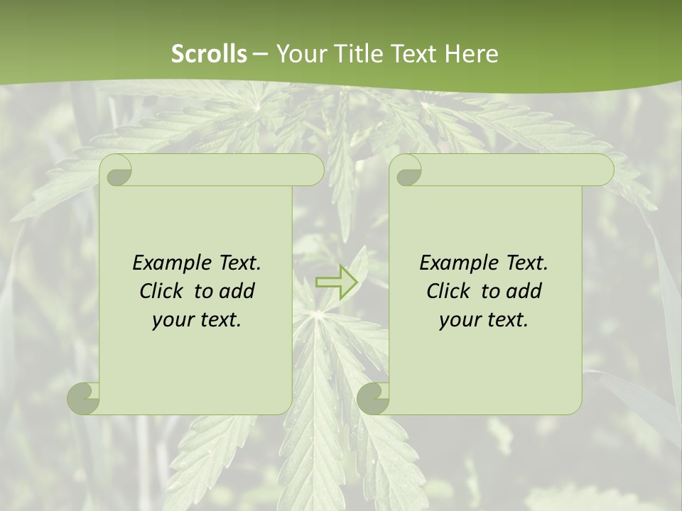 Backgrounds Leaf Marijuana PowerPoint Template